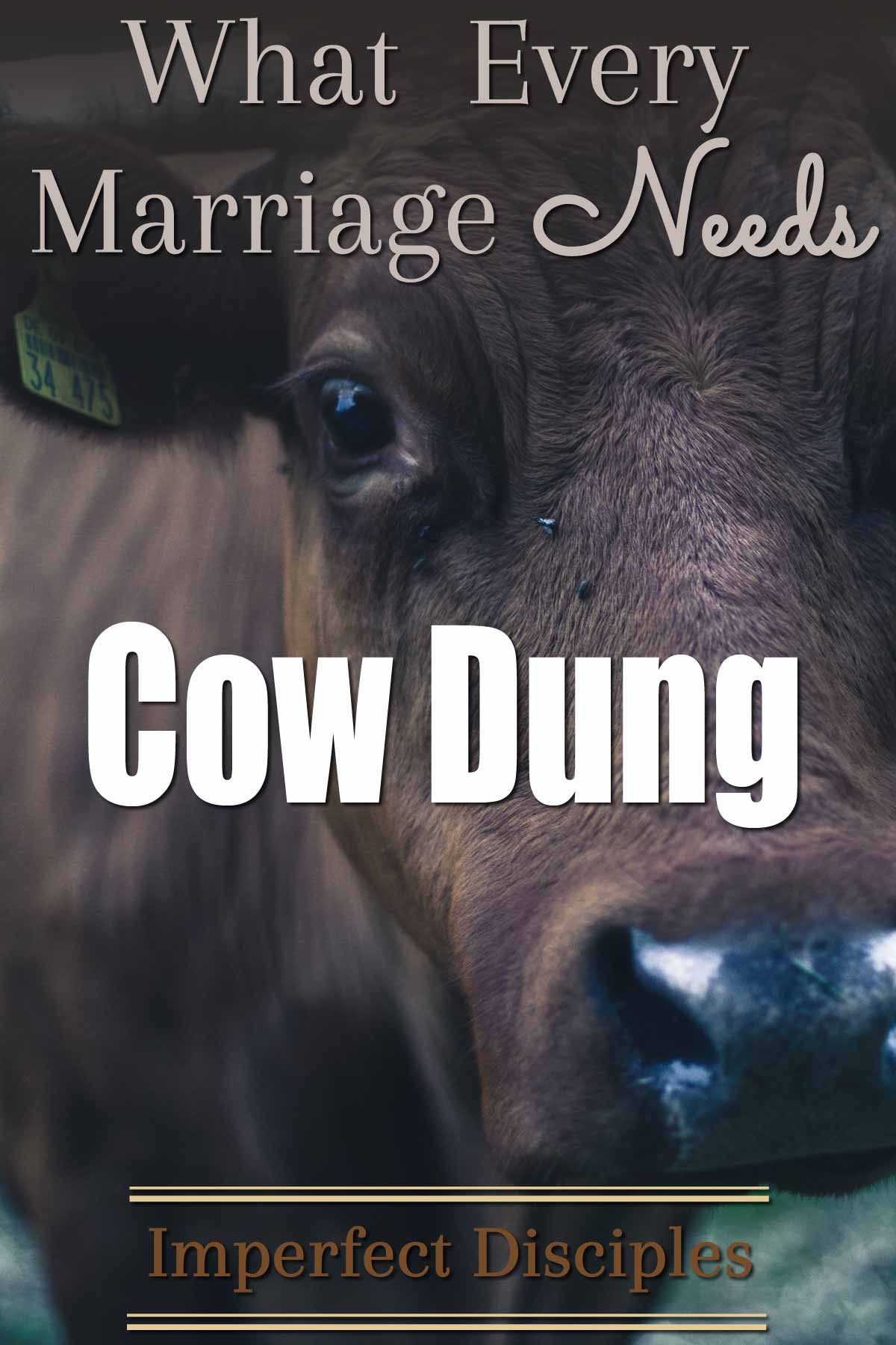 What Every Marriage Needs: Cow Dung