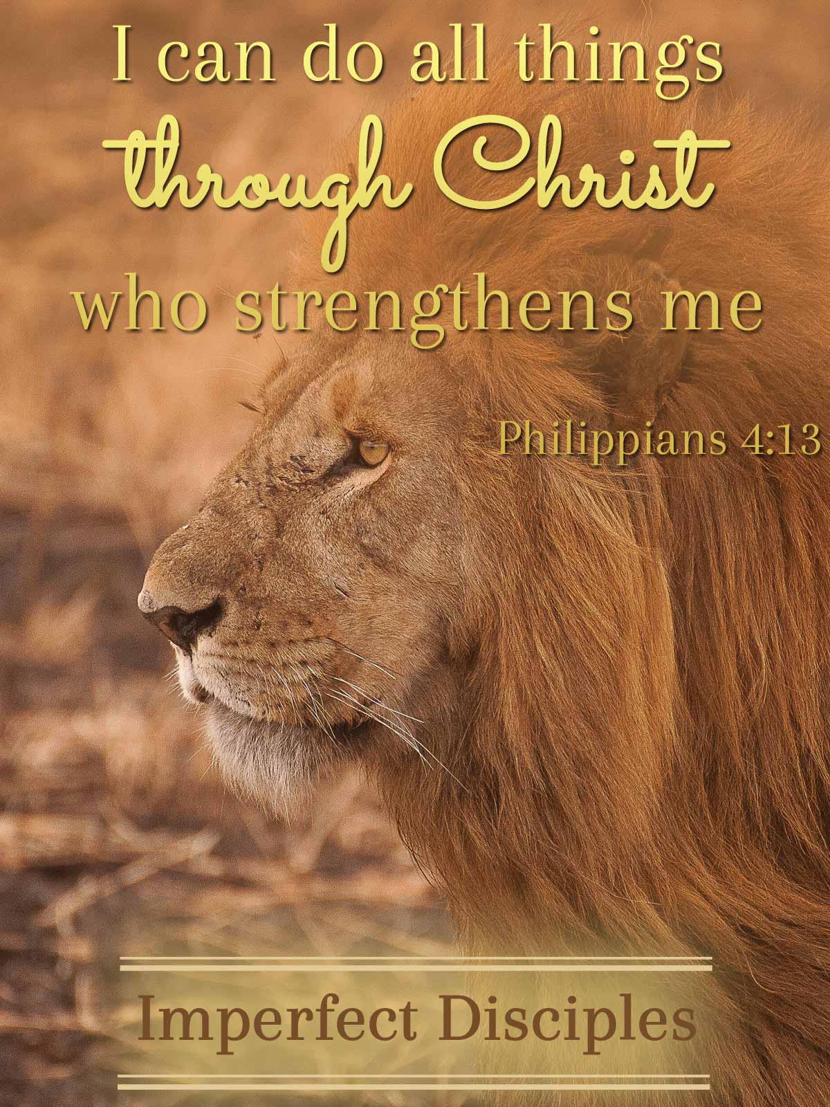 Philippians 4:13 - I can do all things through Christ who strengthens me