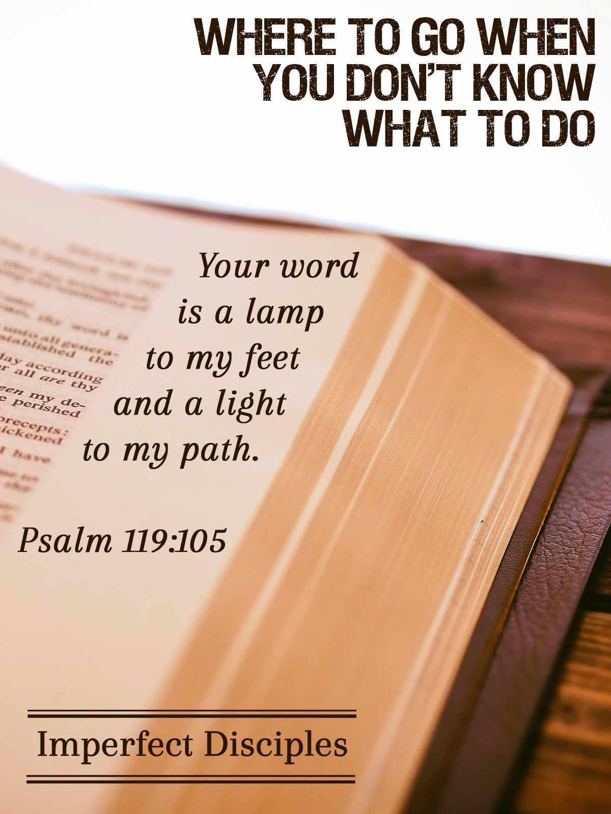Where to go when you don't know what to do. Psalm 119:105