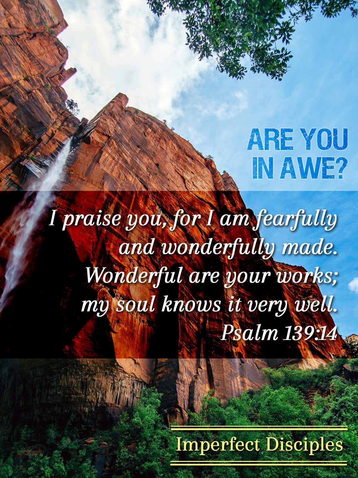 Are You in Awe? Psalm 139:14
