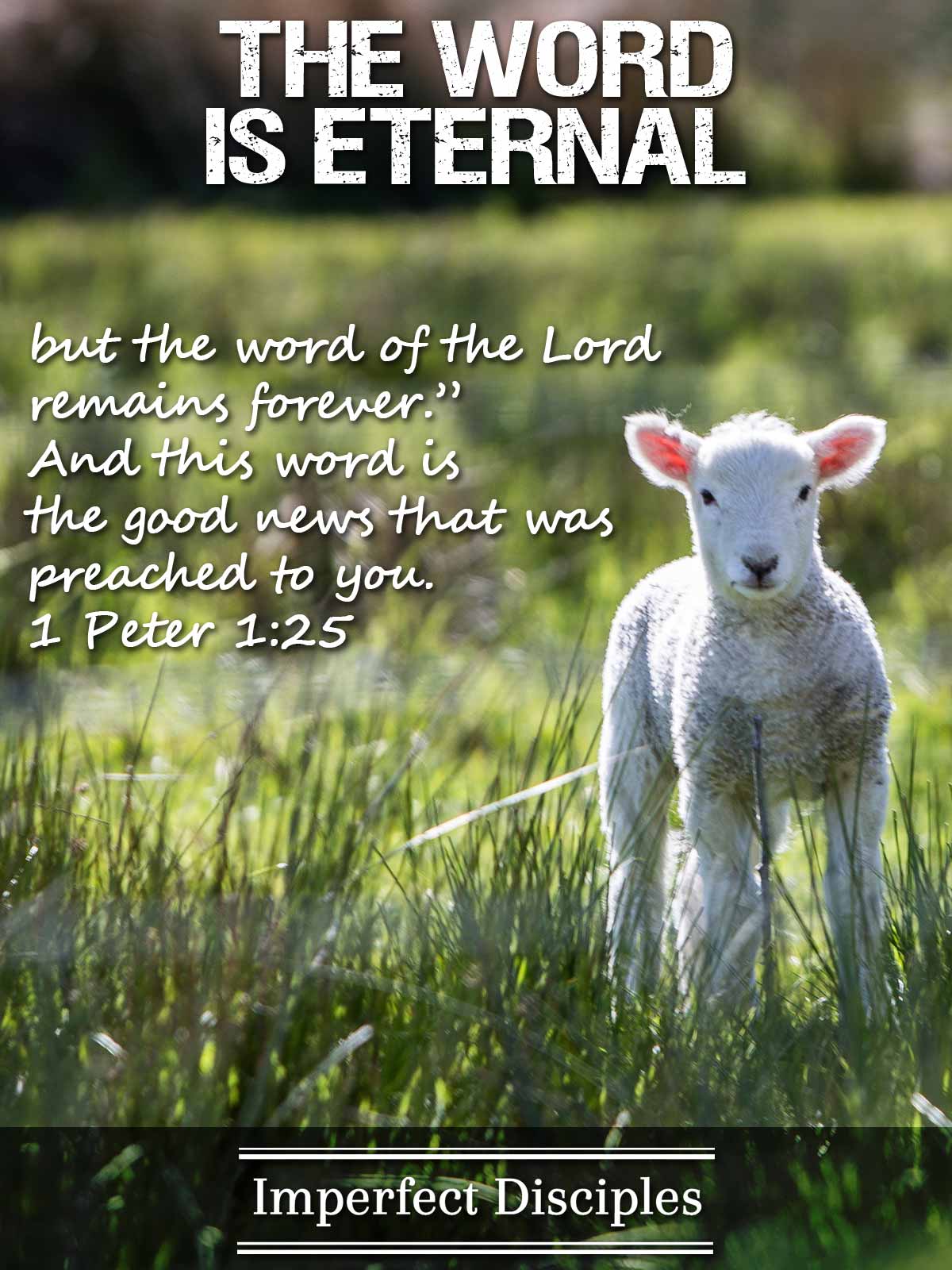 The Word is Eternal - 1 Peter 1:25