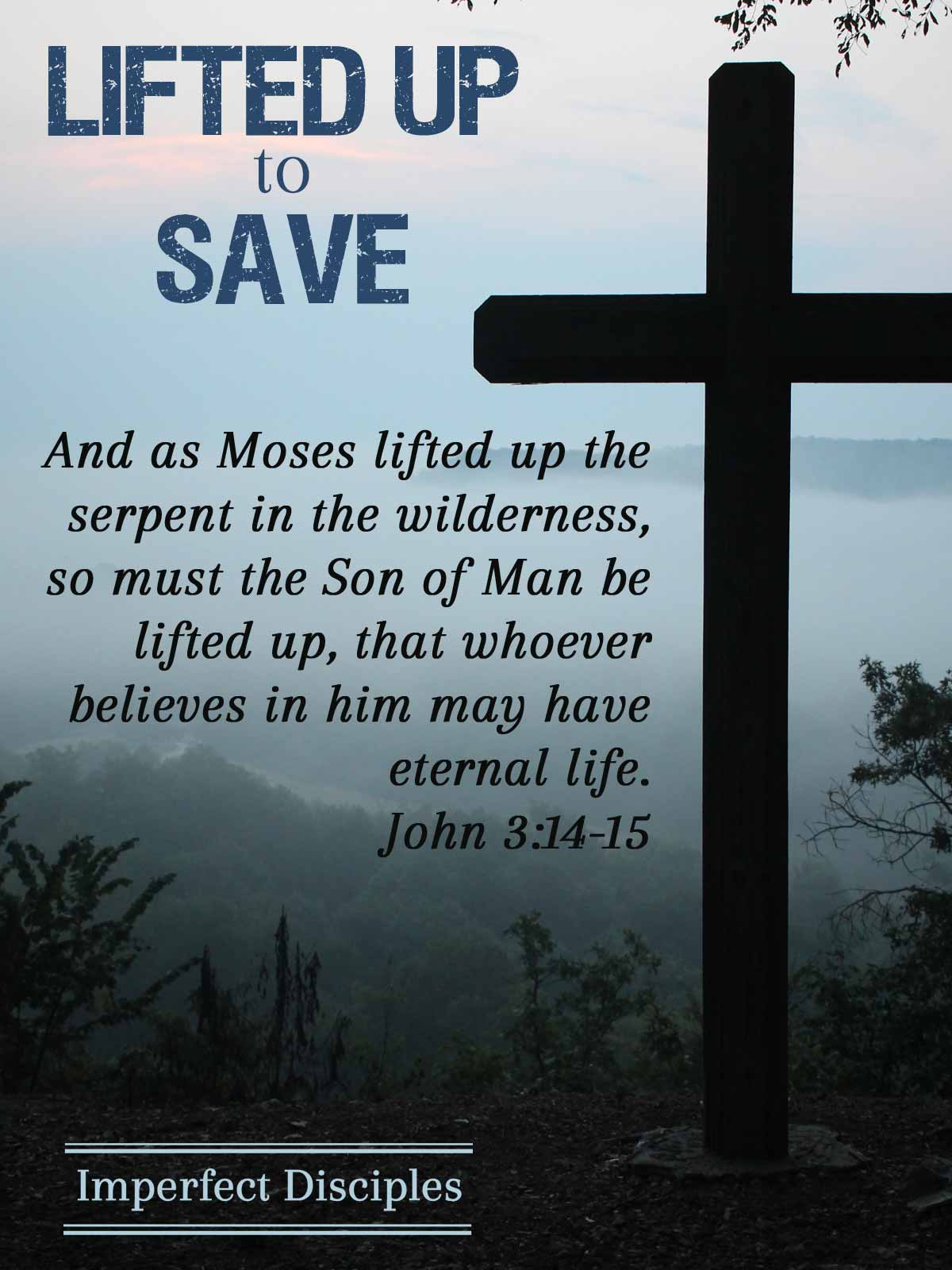 Lifted Up to Save - John 3:14-15 Scripture Memory Song
