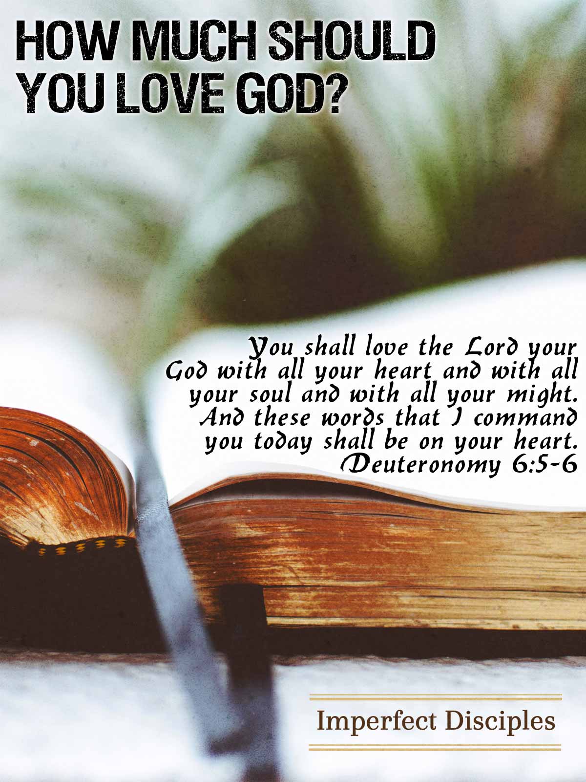 How Much Should You Love God? - Deuteronomy 6:5-6 Scripture Memory Song
